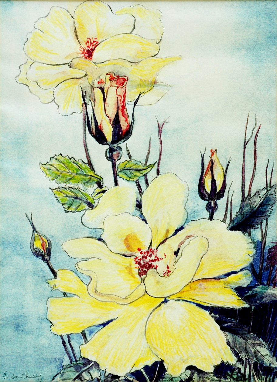 Yellow Rose in a Suffolk Breeze, 2005 by Joan Thewsey
