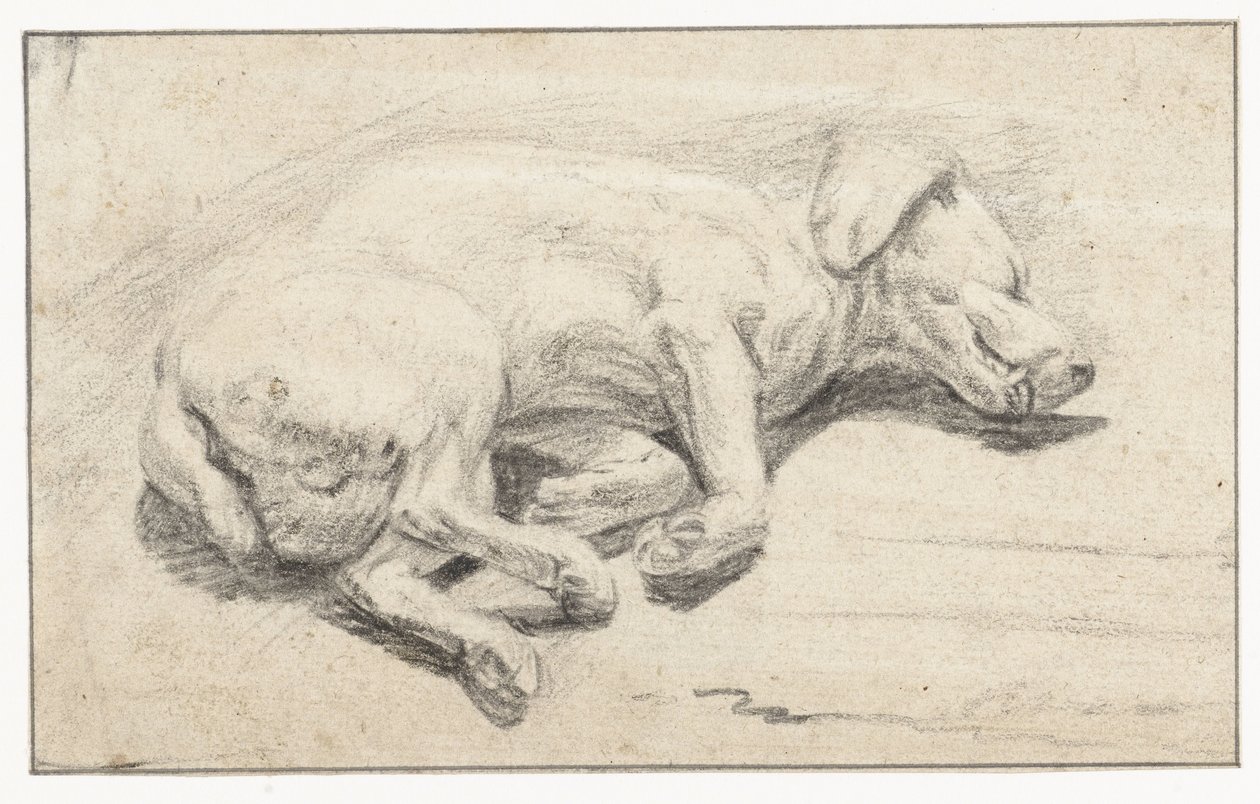 Lying Dog, Sleeping by Joannes Fijt (attributed to)