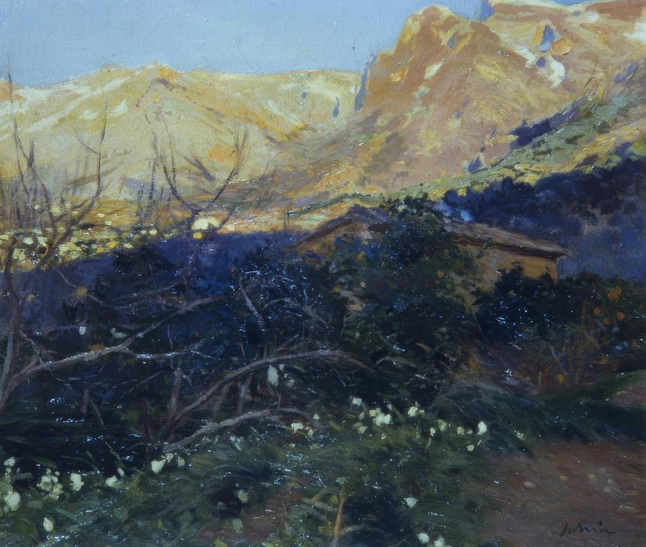 Mallorca by Joaquim Mir i Trinxet