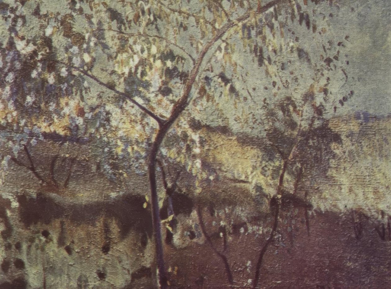 From the Countryside by Joaquim Mir i Trinxet
