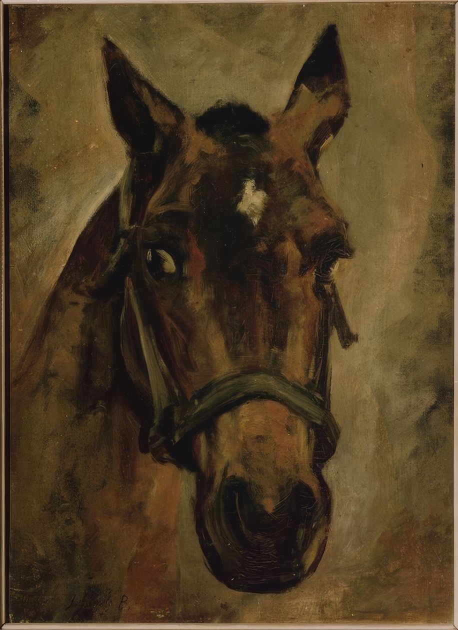Head of a Horse. Artist: Joaquin Sorolla. Location: Private Collection, Madrid, Spain by Joaquín Sorolla