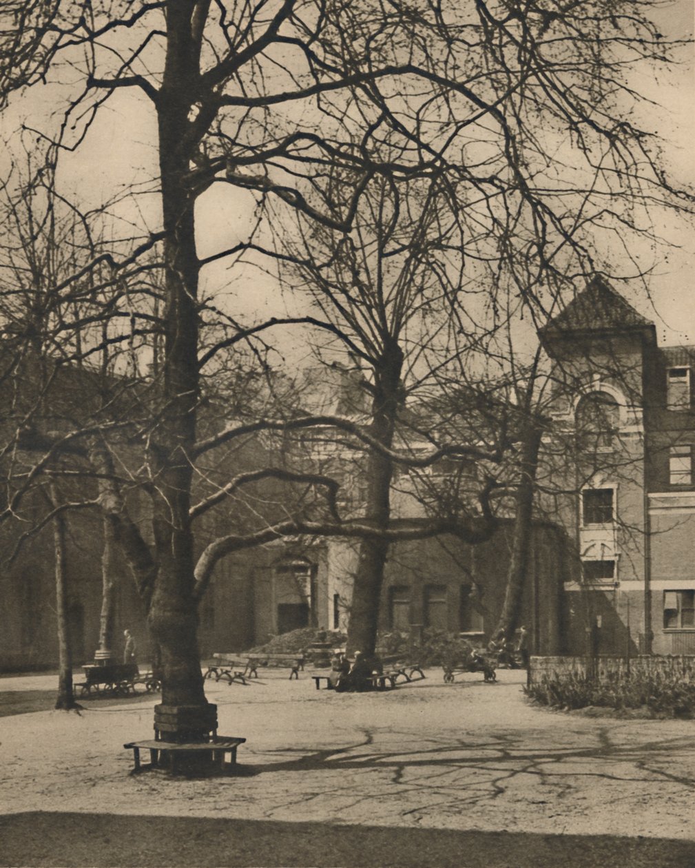 Under the Elms in the Courtyard of Middlesex Hospital, c1935 by Joel