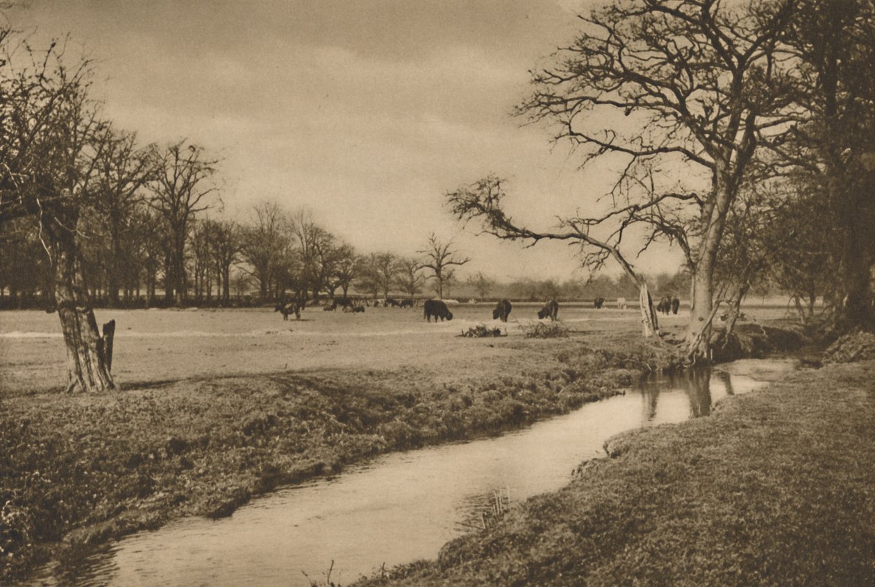 Where Beverley Brook Winds Through The Royal Hunting Park of Richmond, circa 1935 by Joel