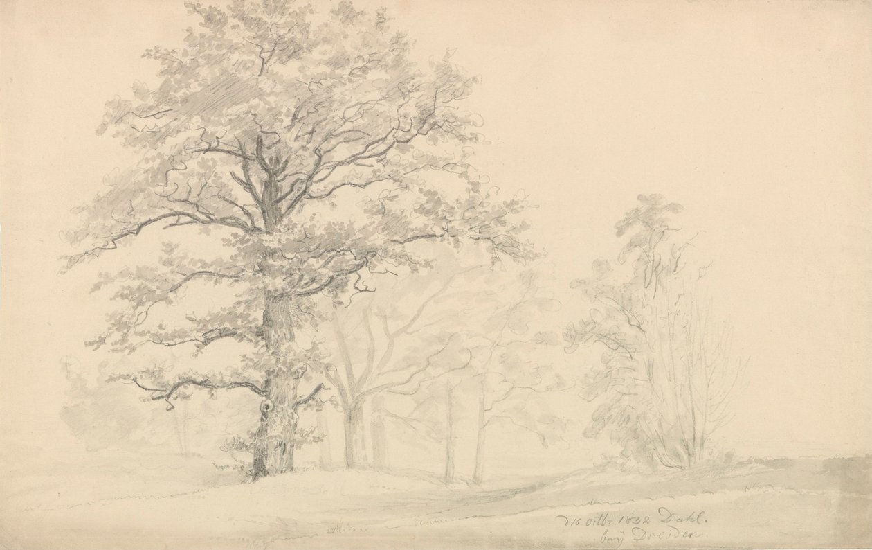 Deciduous Trees by Johan Christian Dahl