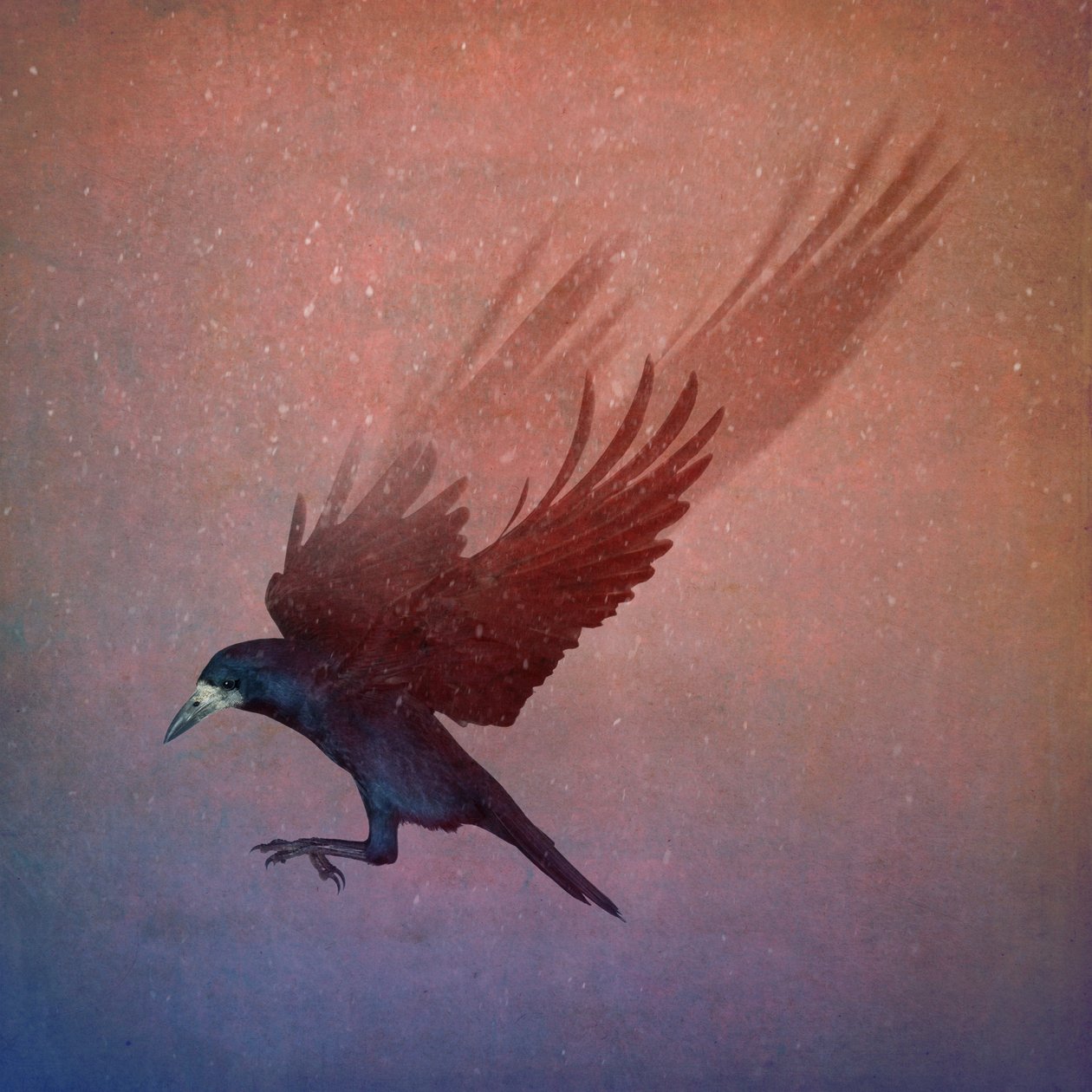 Bird Kingdom by Johan Lilja