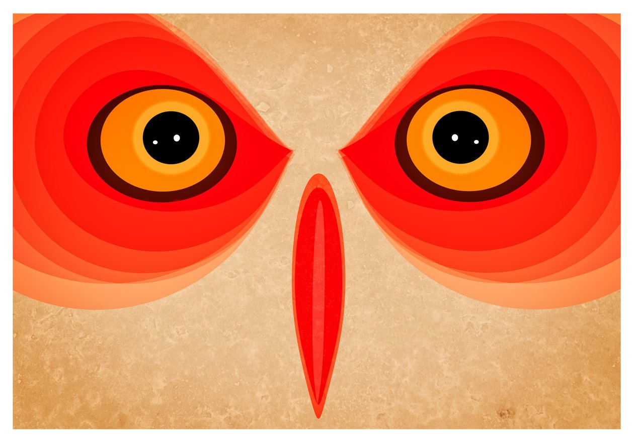 Owl by Johan Lilja