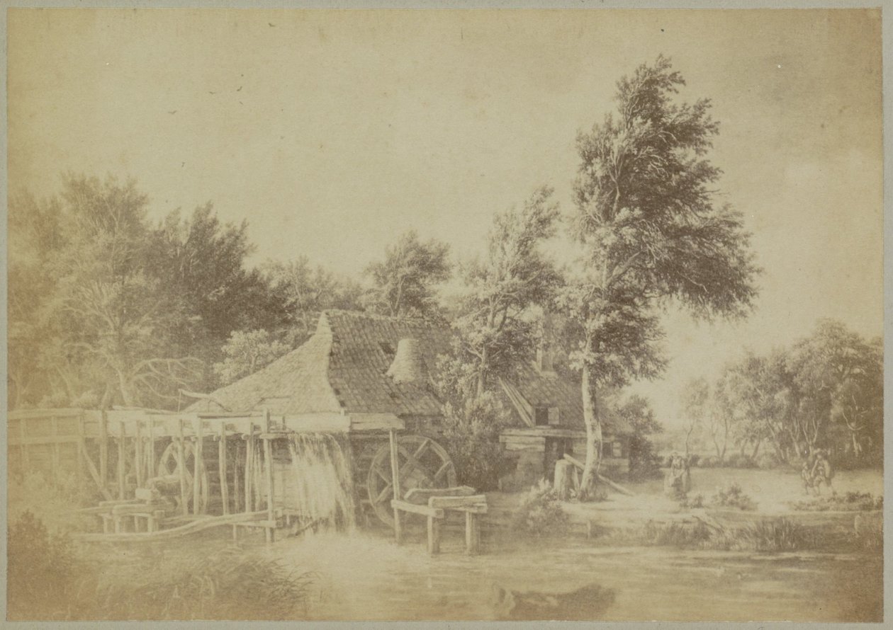 Photoreproduction of the Painting 