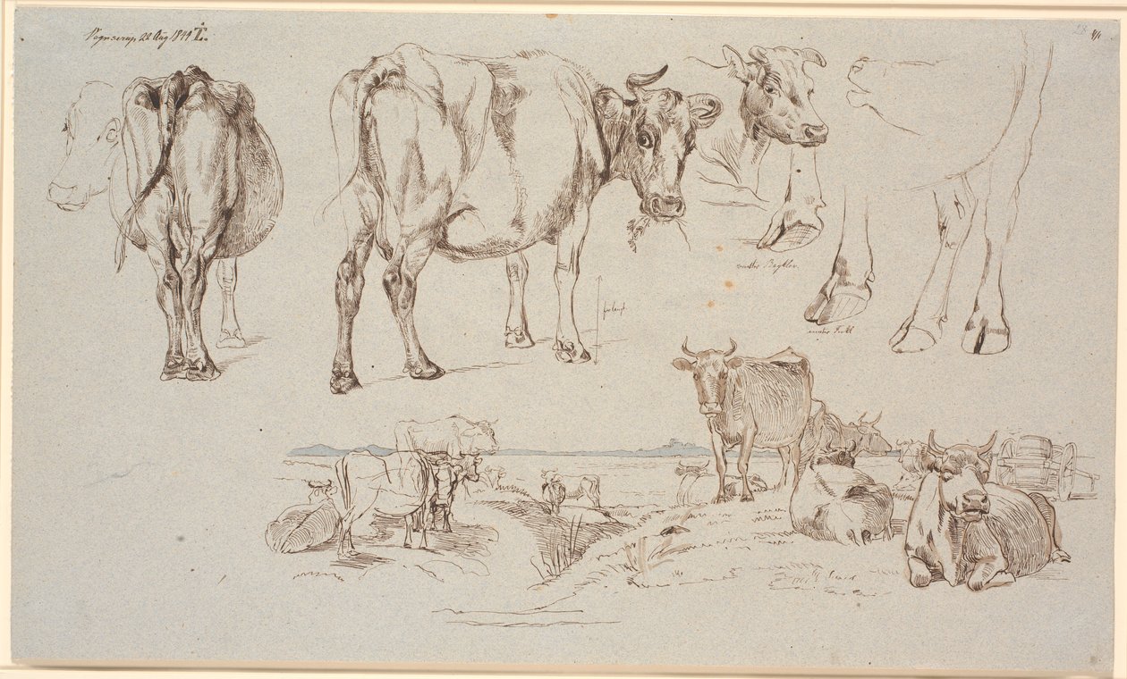 Study sheet from Vognserup. Studies of cows, landscape with standing and lying cows by Johan Thomas Lundbye
