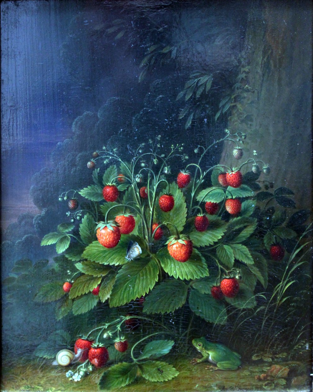 Strawberries by Johann Adam Schlesinger