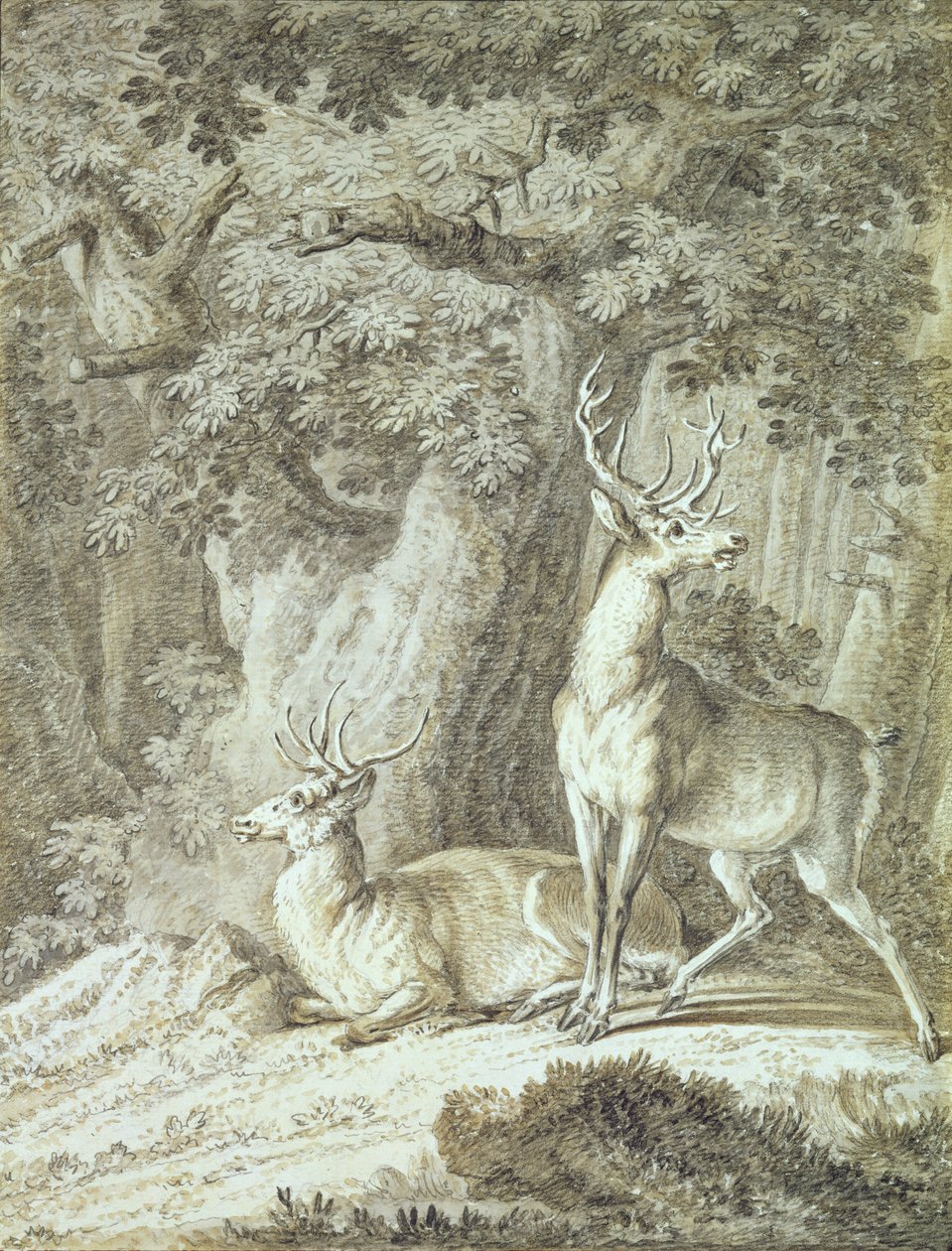 Two Stags by Johann Elias Ridinger or Riedinger