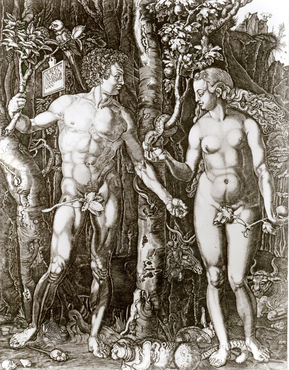 Adam and Eve, after Albrecht Durer by Johann Ladenspelder