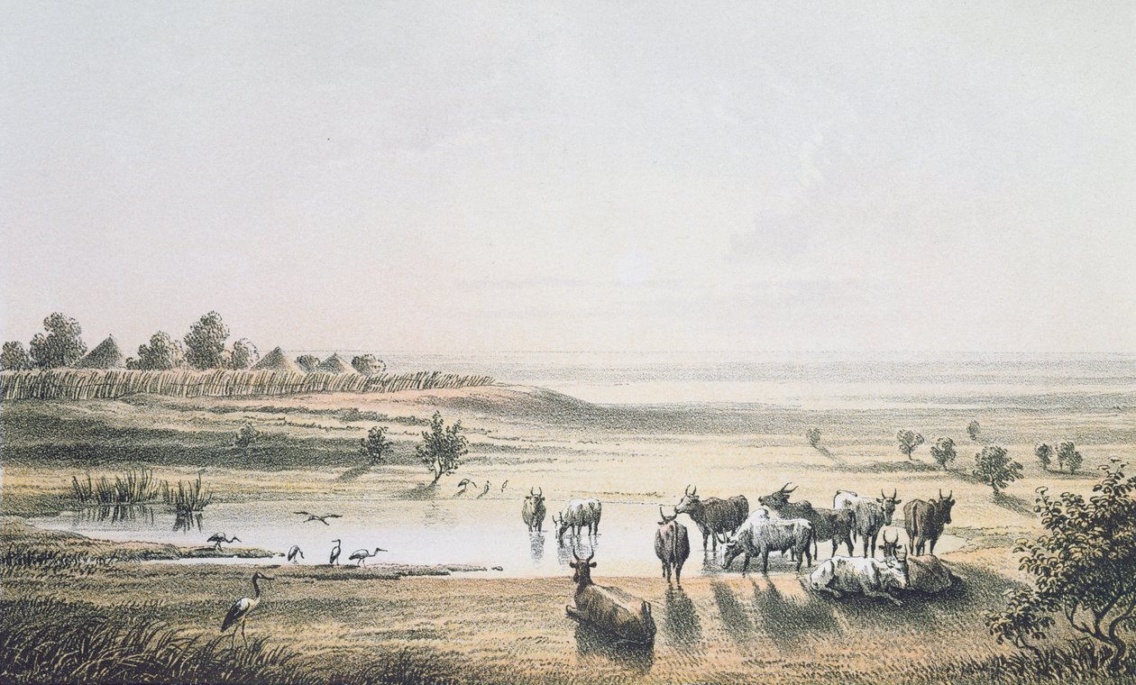 The Borders of Chad in 1851, from 