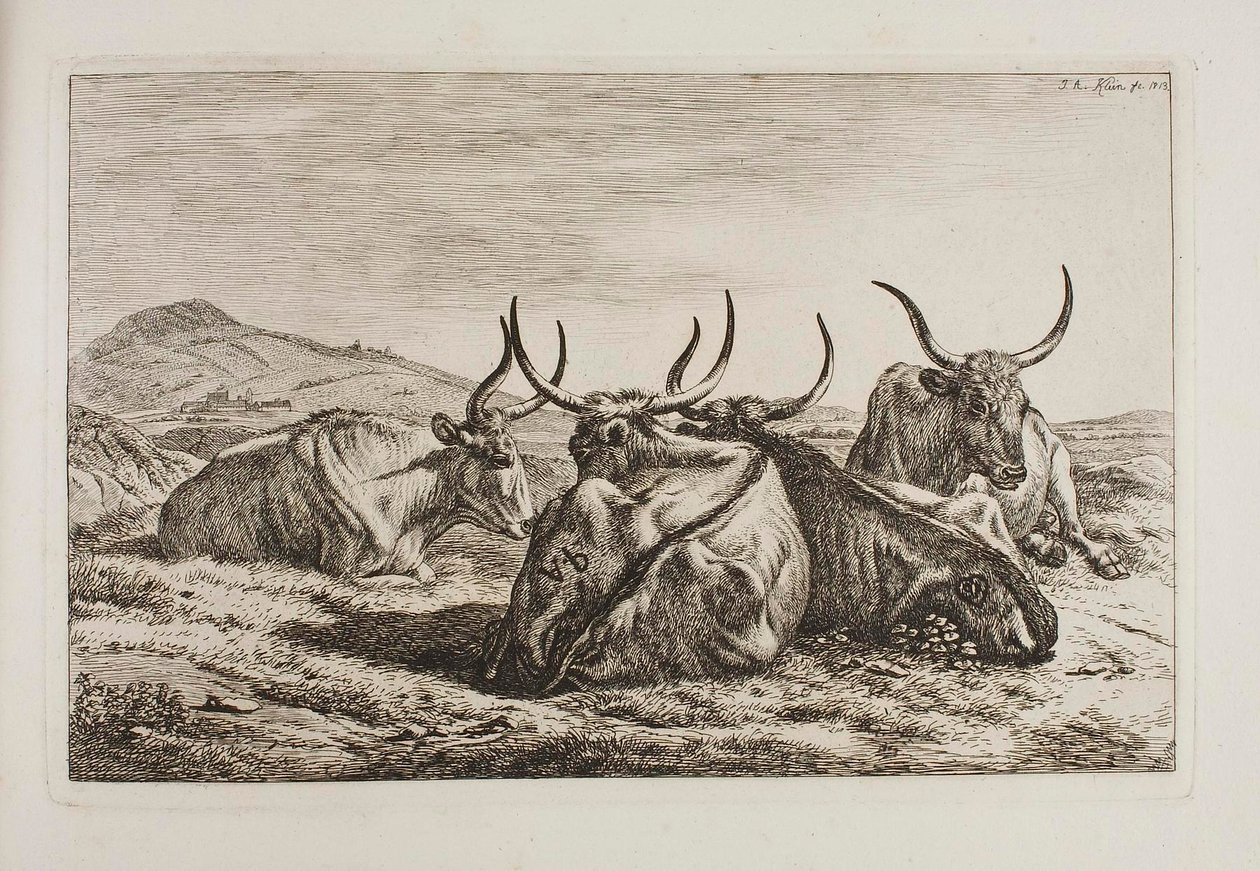 Reclining Oxen by Johann Adam Klein