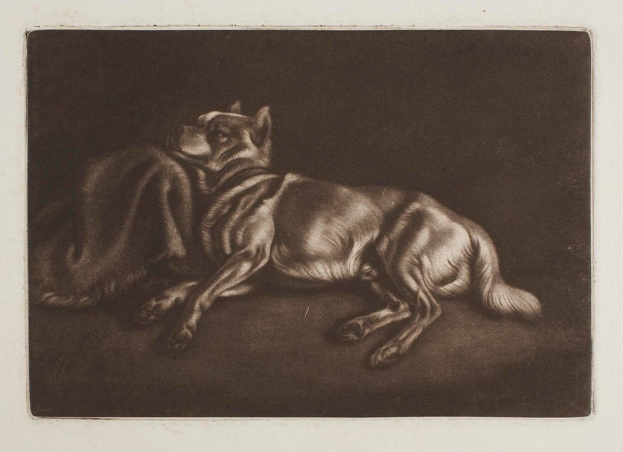 Spitz-Type Dog by Johann Adam Klein