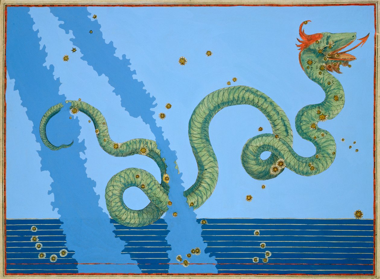 Constellation of Serpens by Johann Bayer