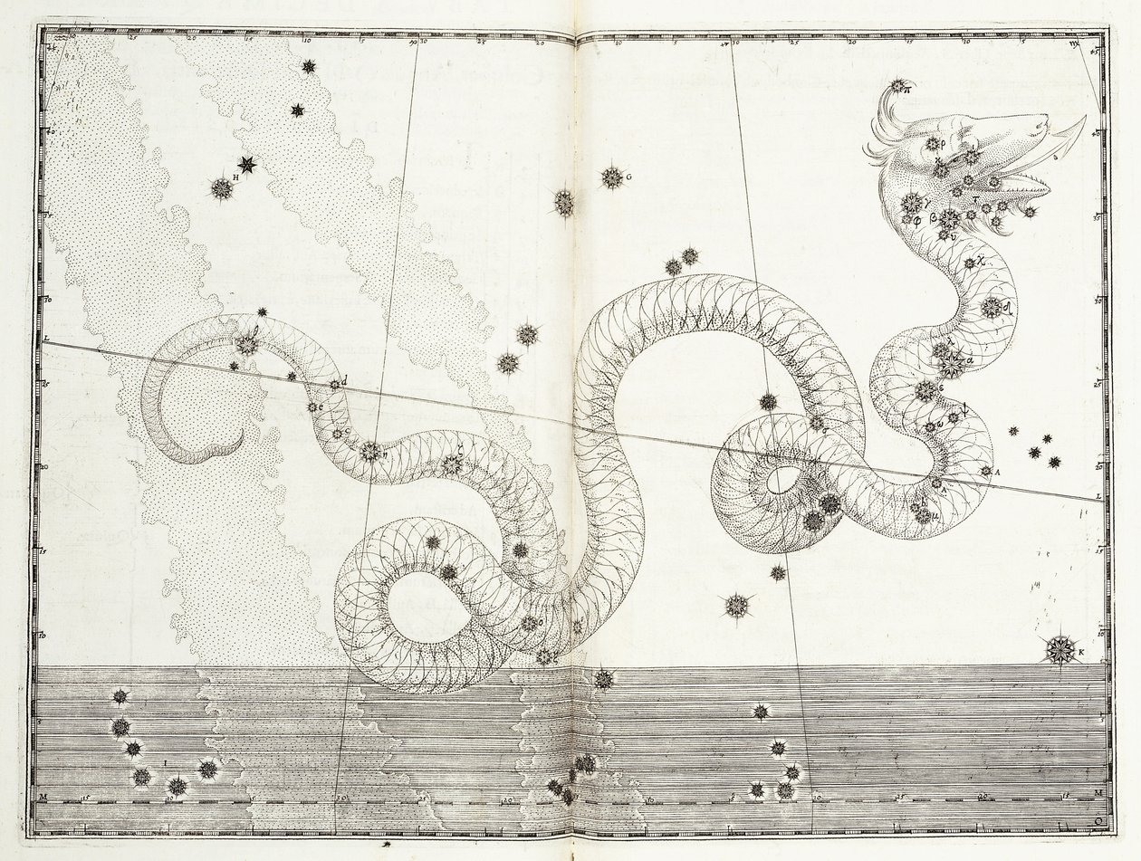 Constellation of Serpens Caput and Serpens Cauda by Johann Bayer