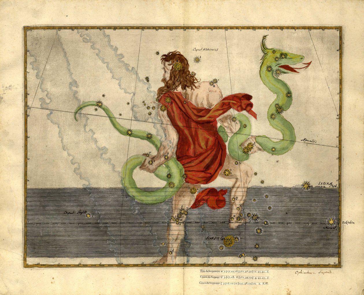 Ophiuchus the Serpent-holder from Uranometria by Johann Bayer