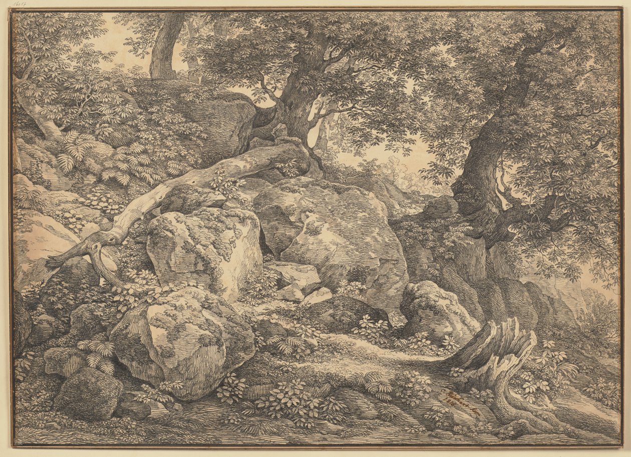 Slope with Boulders and Olive Trees in the Park of the Chigi Princes at Ariccia by Johann Christian Reinhart