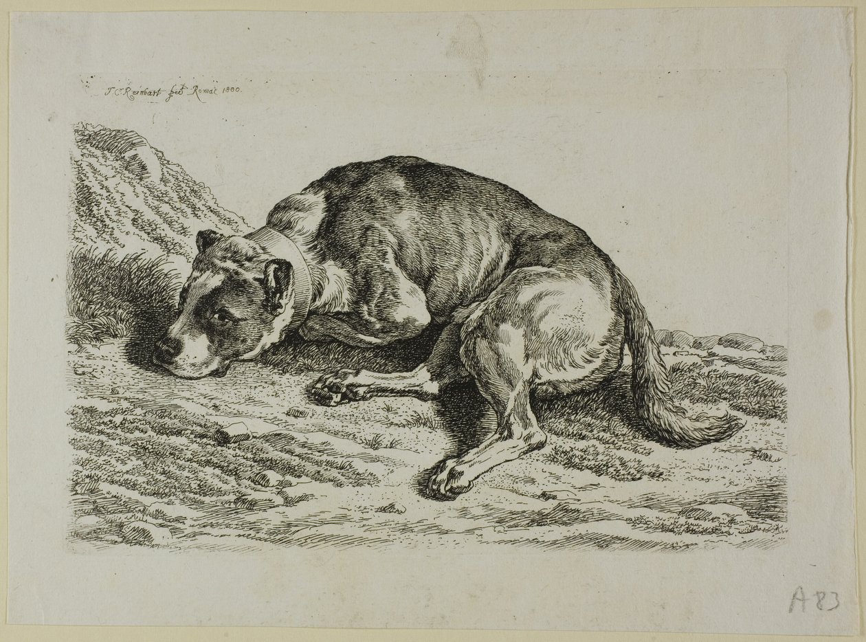 Dog Laying Down, from Die Zweite Thierfolge by Johann Christian Reinhart