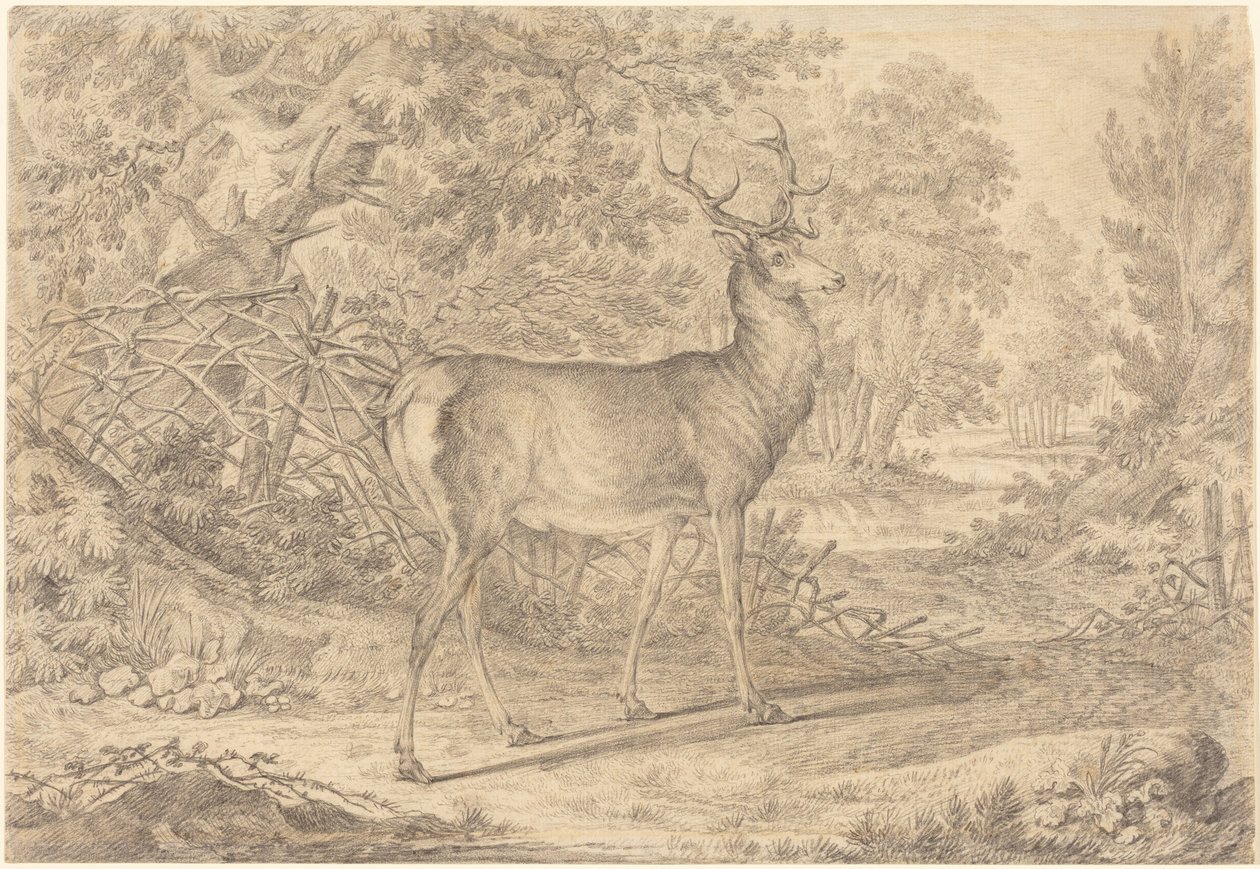 A Splendid Young Stag before a Wattle Fence by Johann Elias Ridinger