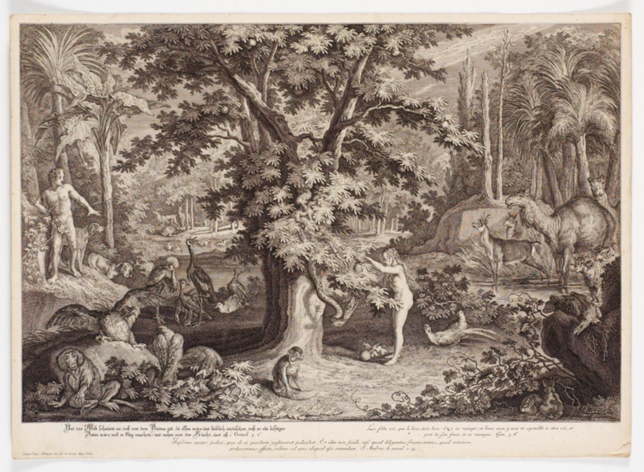 Eve Picking the Apple from the Tree of Knowledge by Johann Elias Ridinger