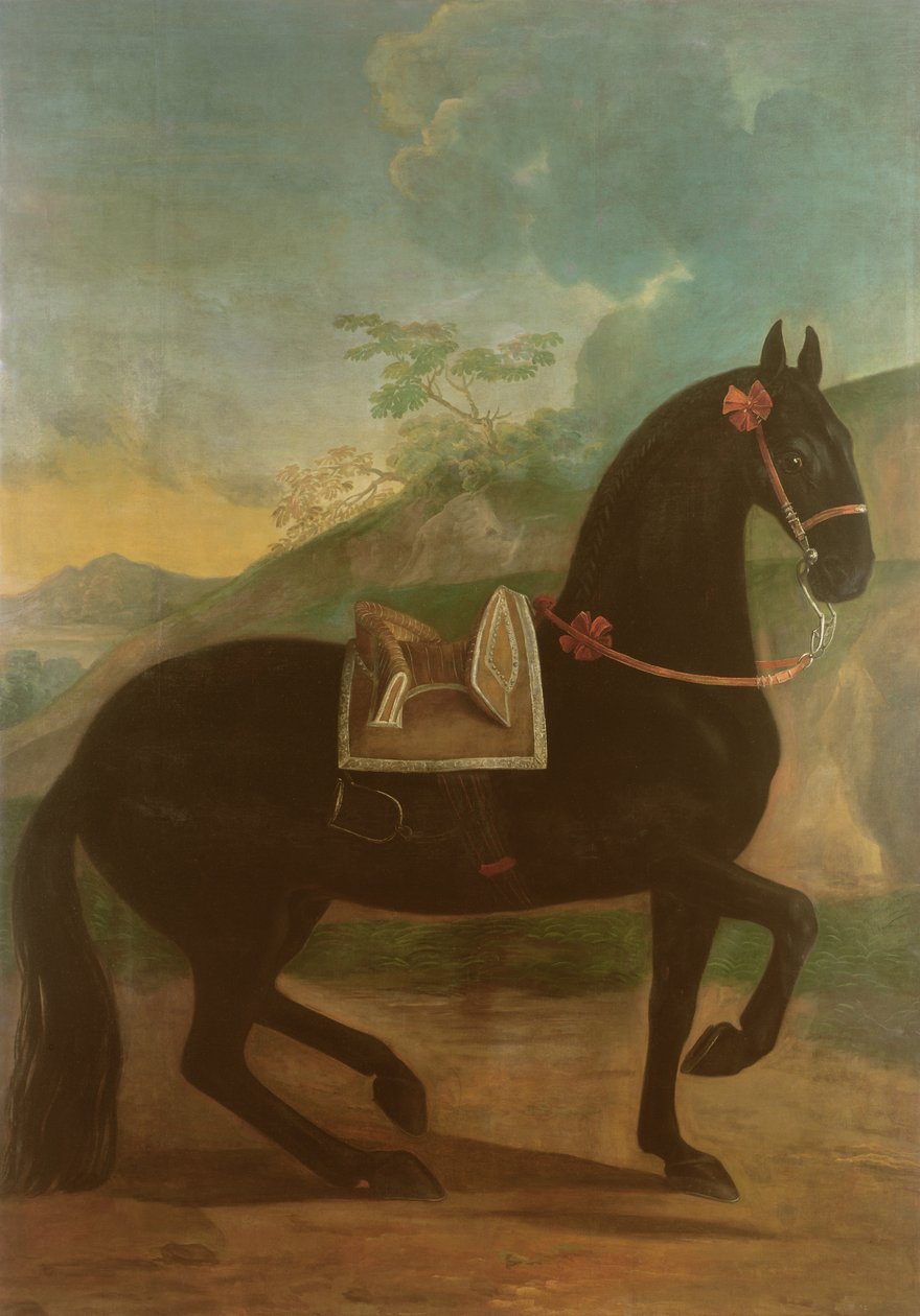 A Black Horse sporting a Spanish Saddle by Johann Georg Hamilton