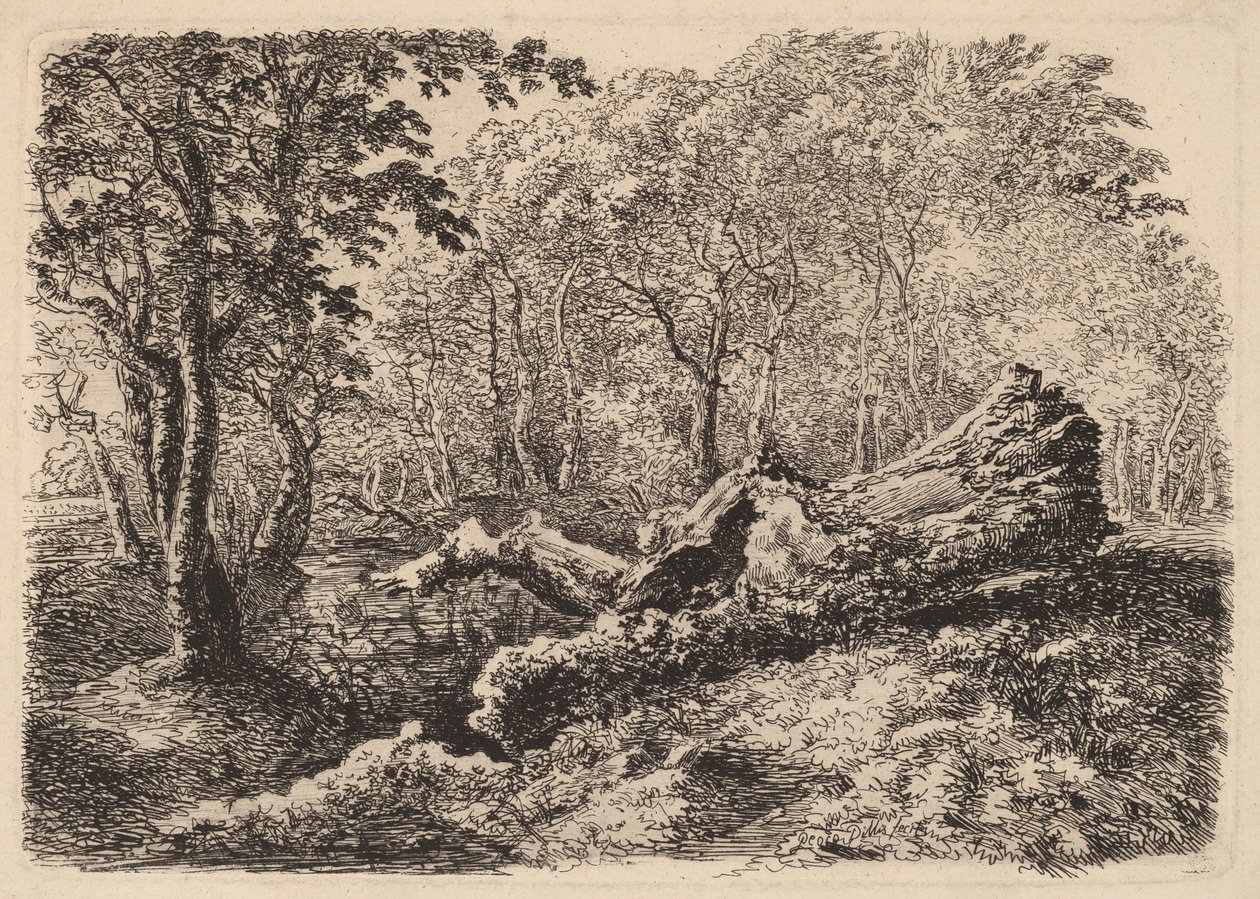 Mouldering Tree Trunk by Johann Georg von Dillis