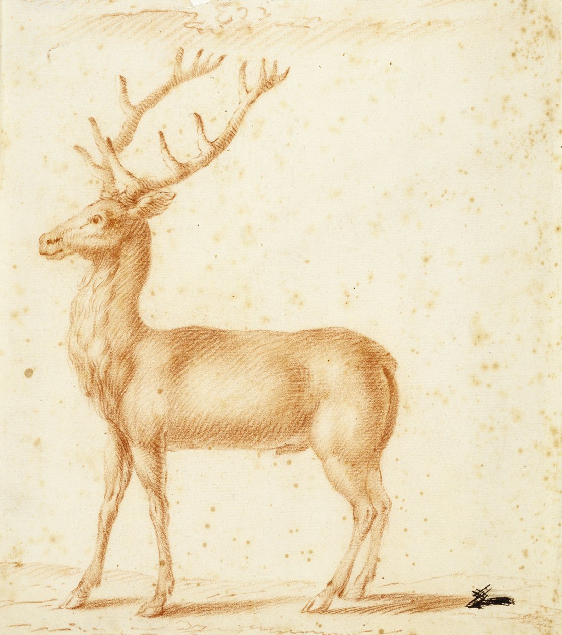 A Stag, 17th century by Johann Heinrich Roos