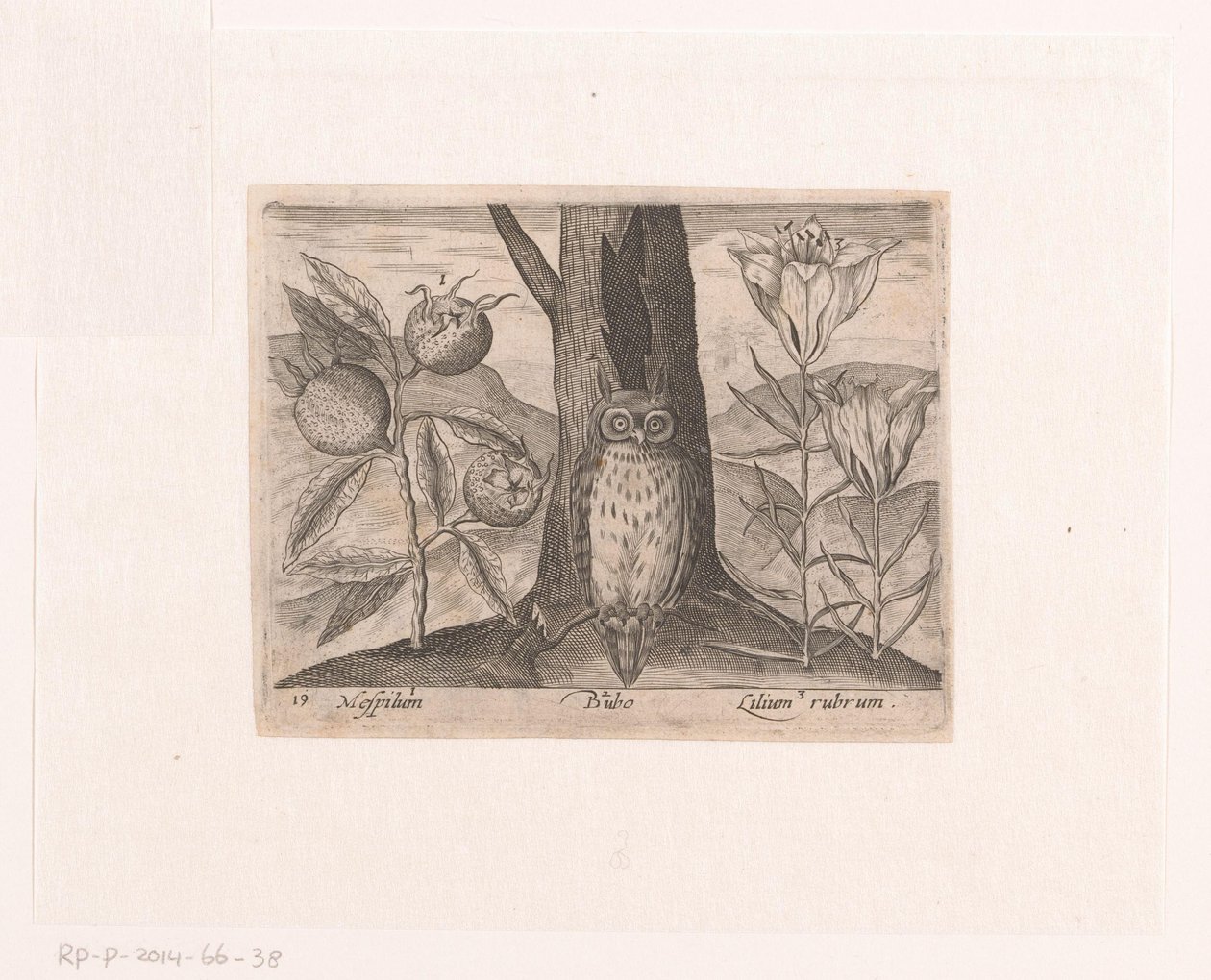 Series of Prints with Flowers and Animals in a Landscape Landscape with Medlar, Lily, and Owl by Johann Hogenberg