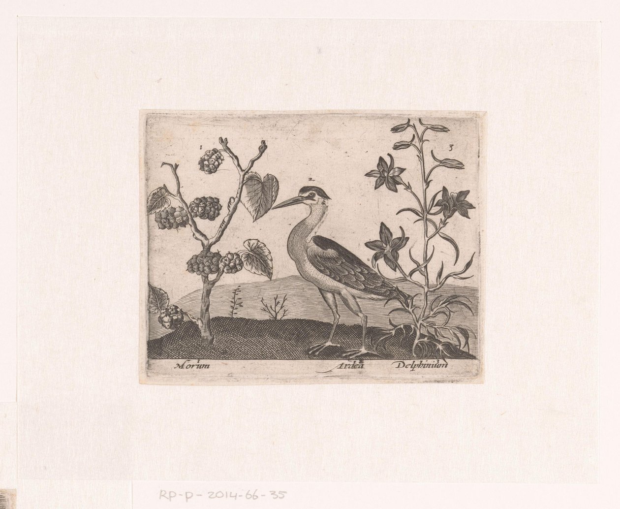 Series of Prints with Flowers and Animals in a Landscape (Landscape with Heron and Larkspur) (Landscapes with Animals, Plants, and Flowers) by Johann Hogenberg