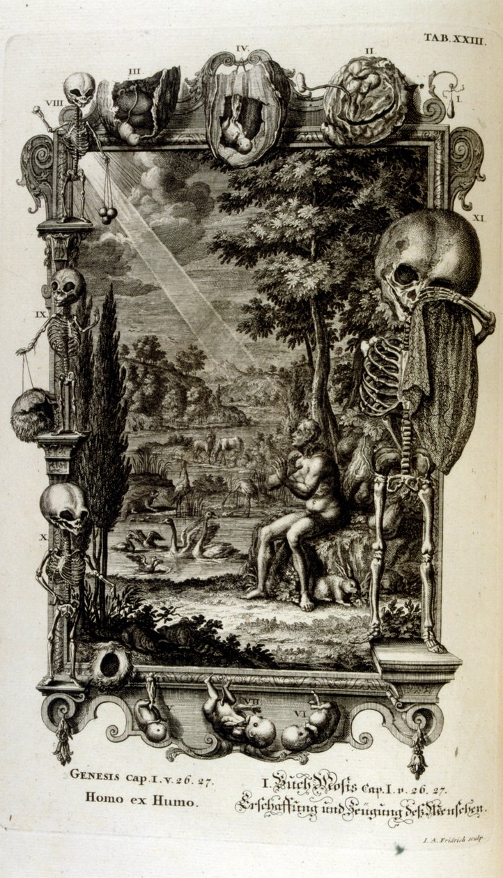 Copperplate Engraving from 