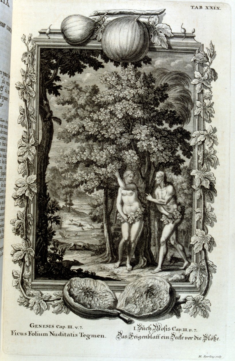 Copperplate Engraving from 