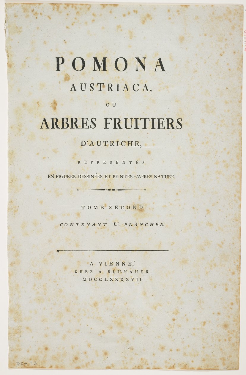 Title Page from 