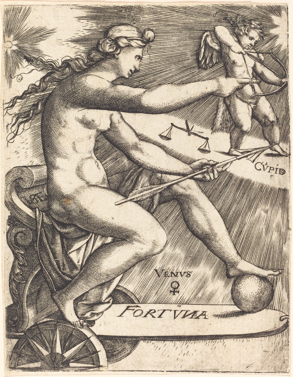 Venus by Johann Ladenspelder