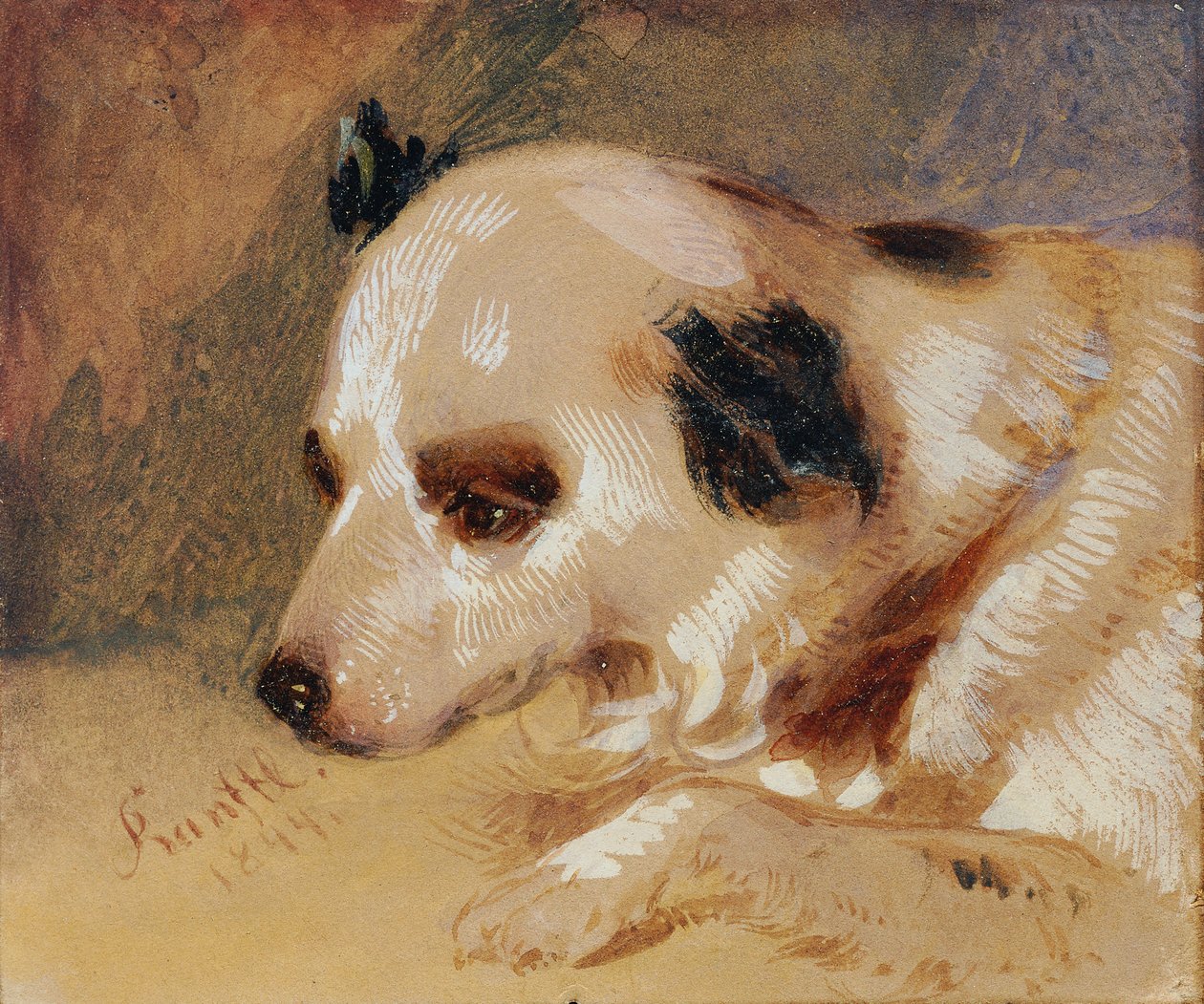 Head of a Dog by Johann Matthias Ranftl
