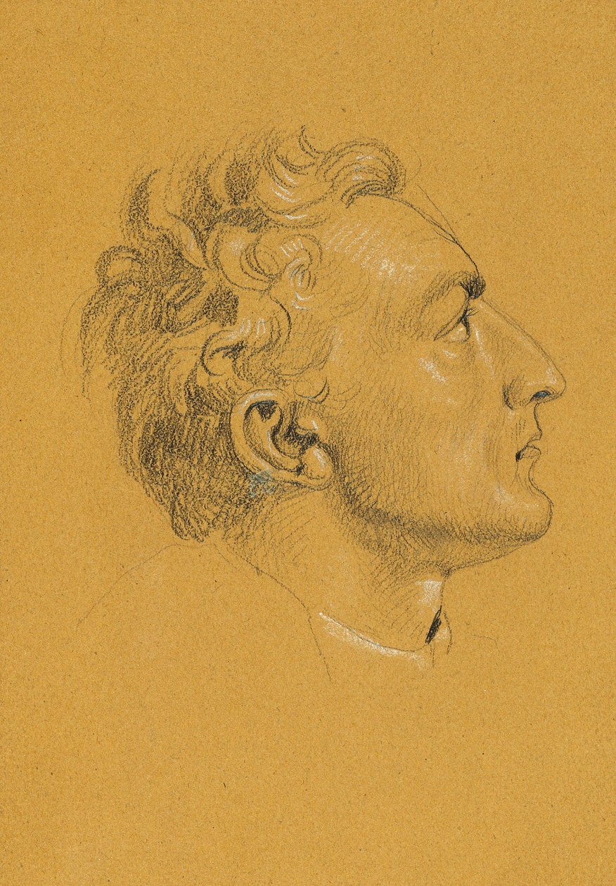 Head Study for 