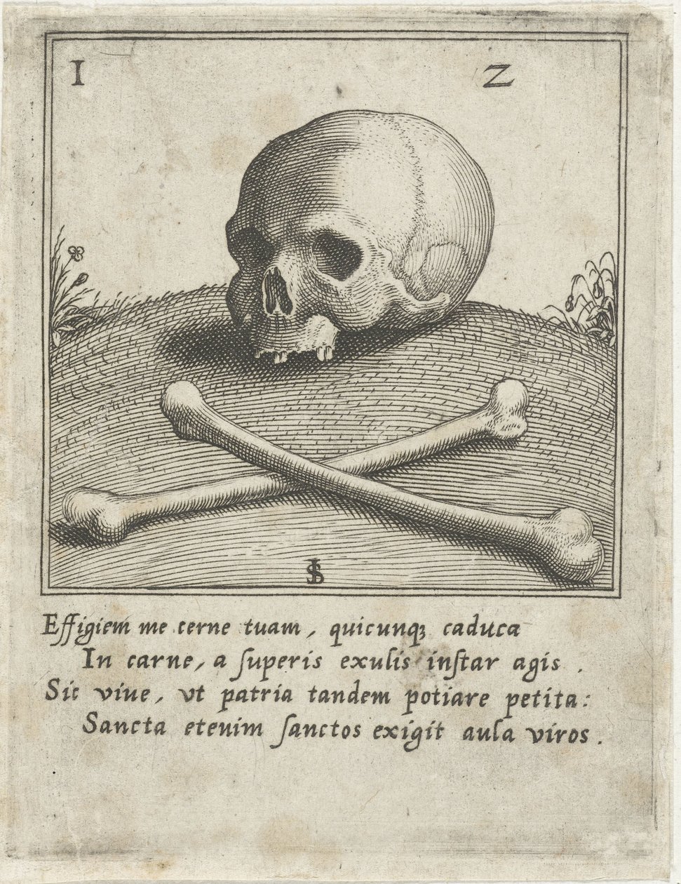 Vanitas with a Skull and Two Bones by Johann Sadeler (I)