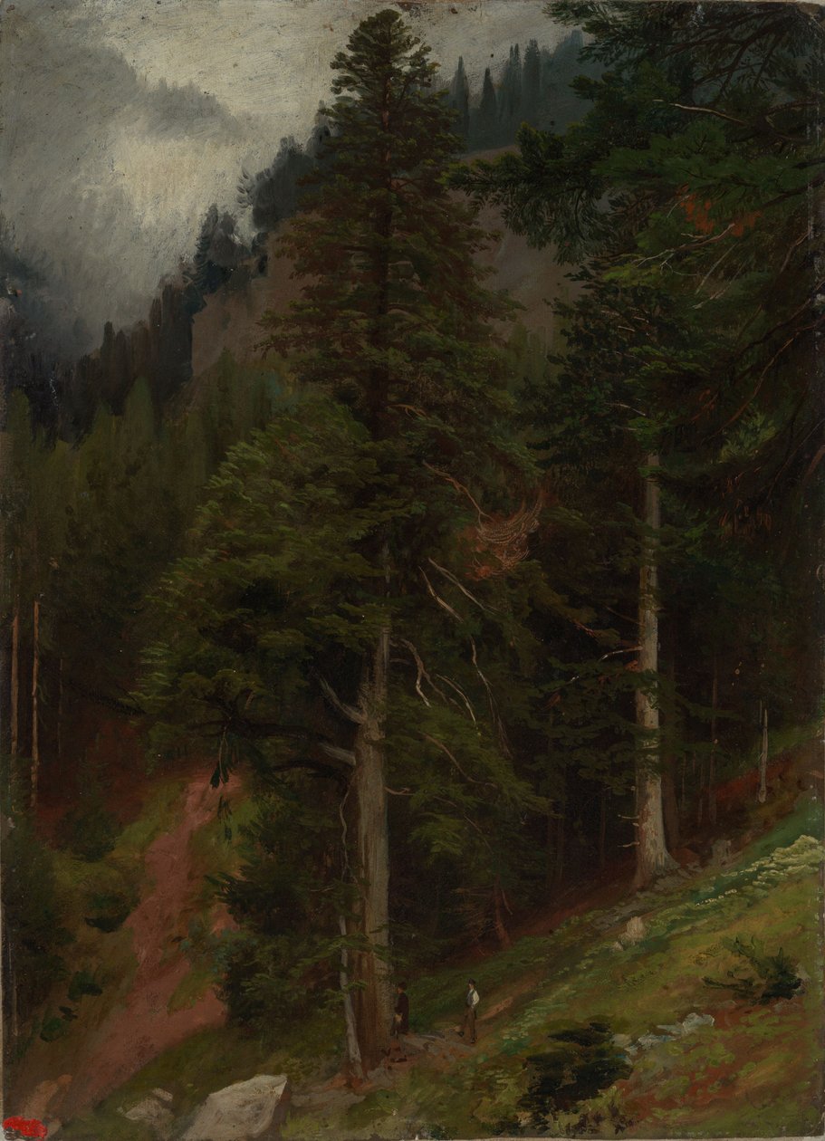 Slope in the Pine Forest by Johann Wilhelm Schirmer