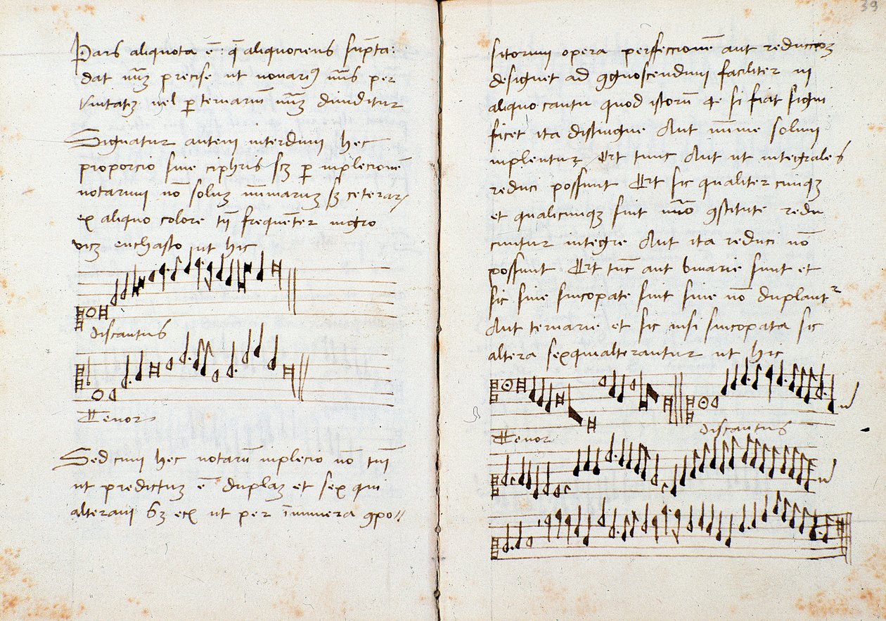 Page from a musical theory book by Johannes Tinctoris by Johannes (c.1435 1511) Tinctoris
