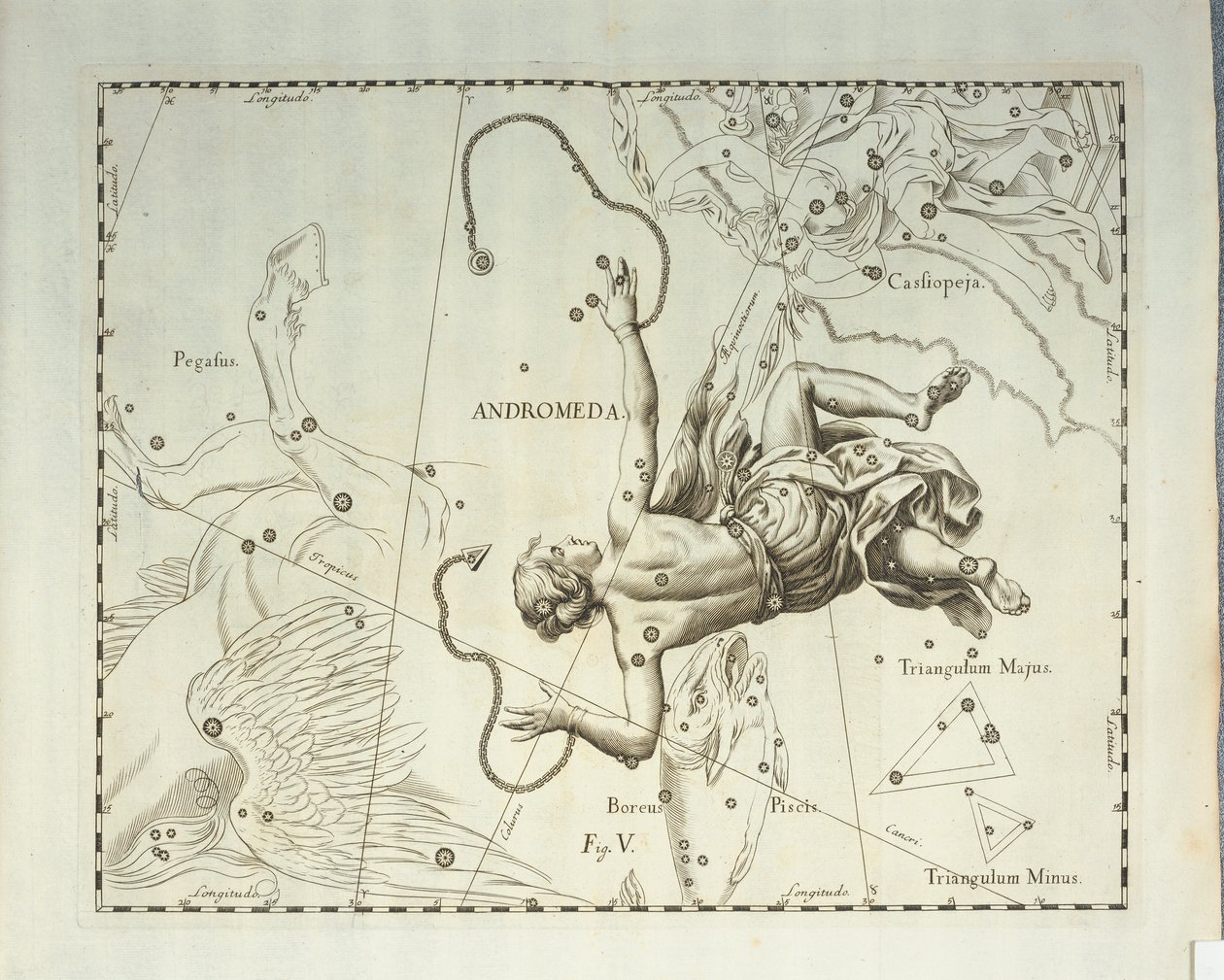 Boreal constellation of Andromeda by Johannes Hevelius