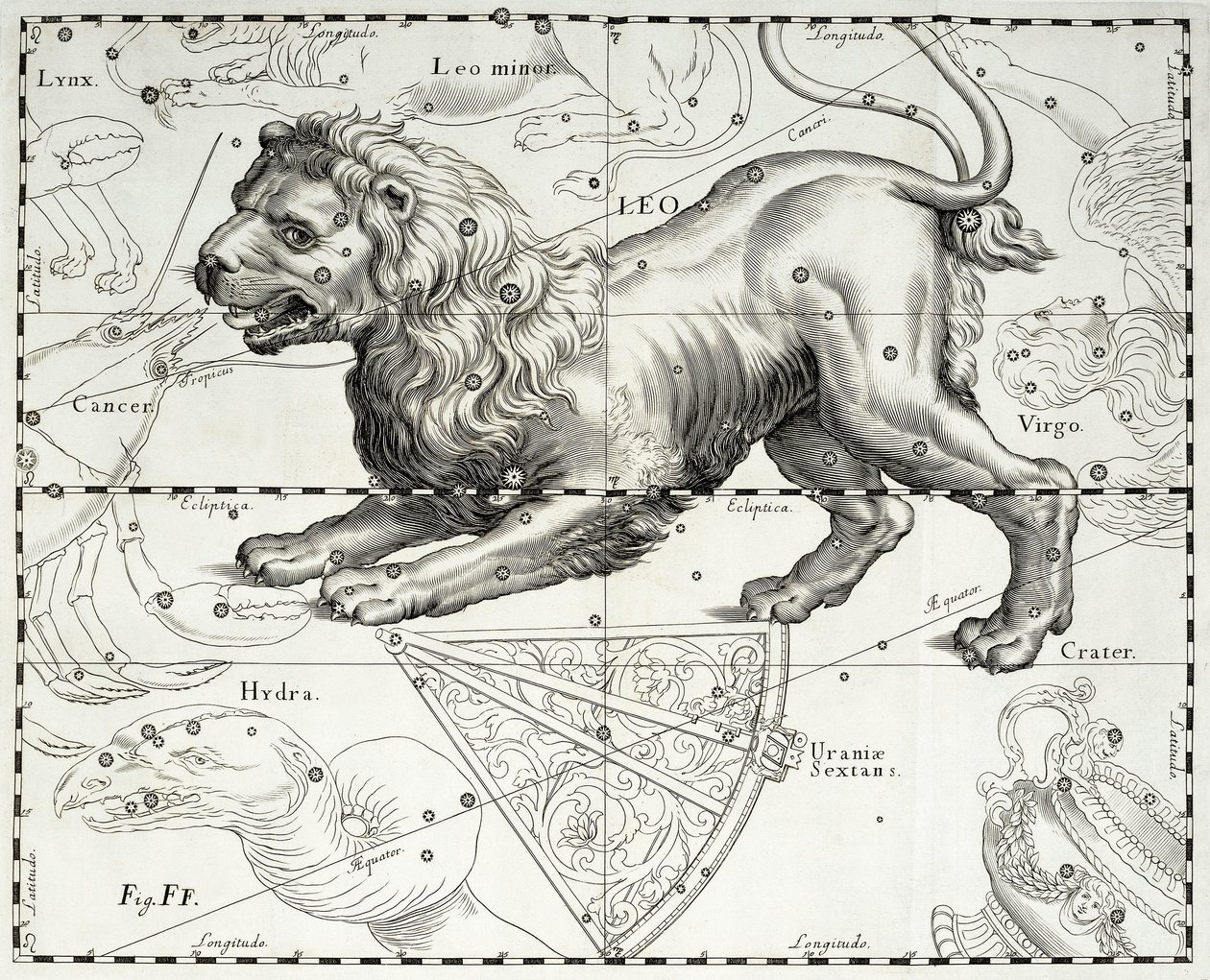 Leo, zodiacal constellation of Lion by Johannes Hevelius