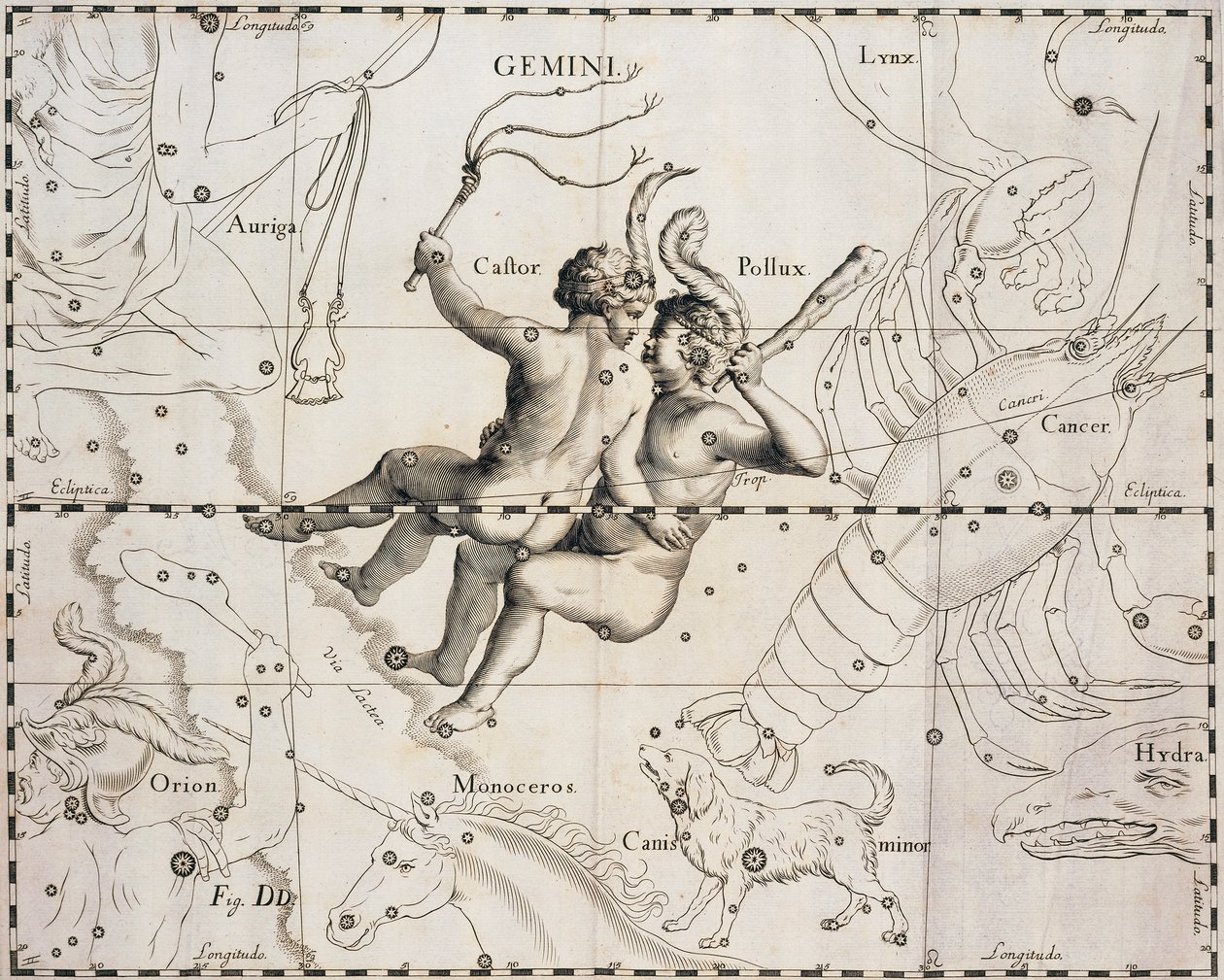 The constellation of Gemini, illustration from Firmamentum Sobiescianum sive Uranographia, by Johann Hevelius, Gdansk 1690 by Johannes Hevelius