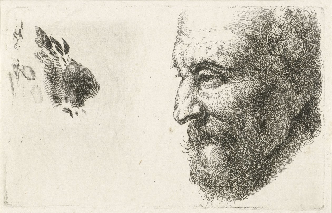 Profile of an Old Man by Johannes Mock