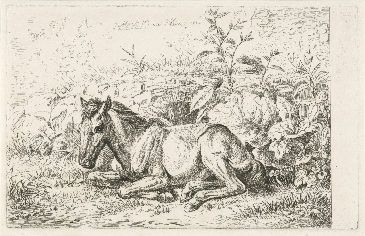 Lying Horse in Front of Some Plants by Johannes Mock