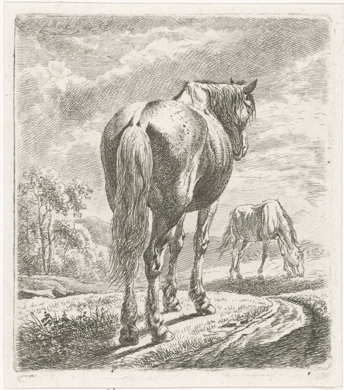 Horse Seen from Behind by Johannes Mock