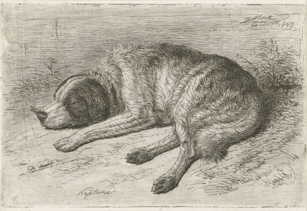 Sleeping Dog Facing Left (Neptune) by Johannes Mock