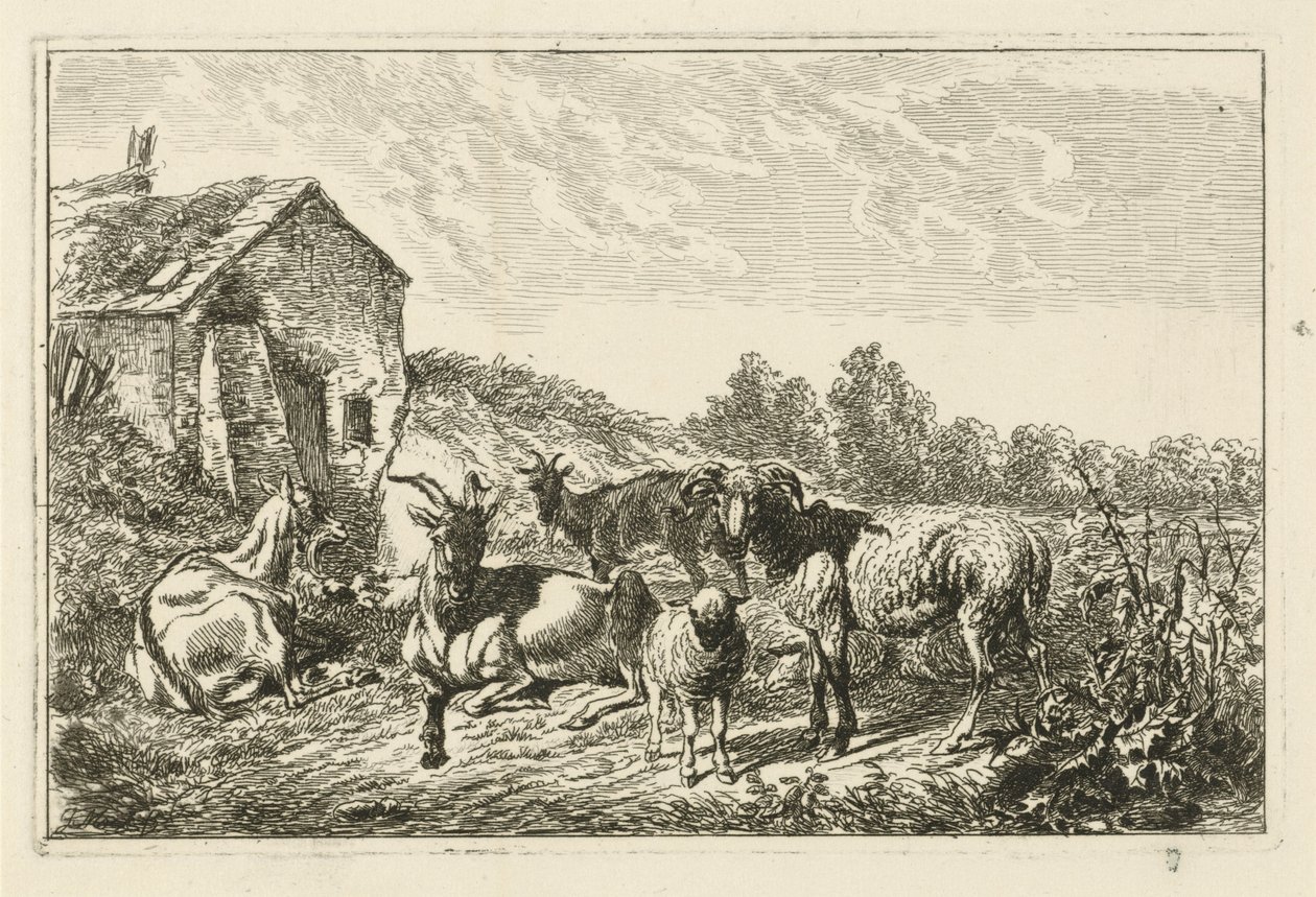 Four Goats and a Sheep by a House by Johannes Mock