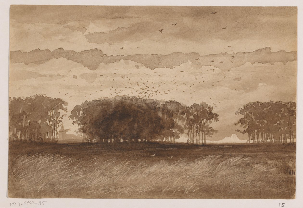 Rook Colony in North Brabant by Johannes Tavenraat (signed by artist)