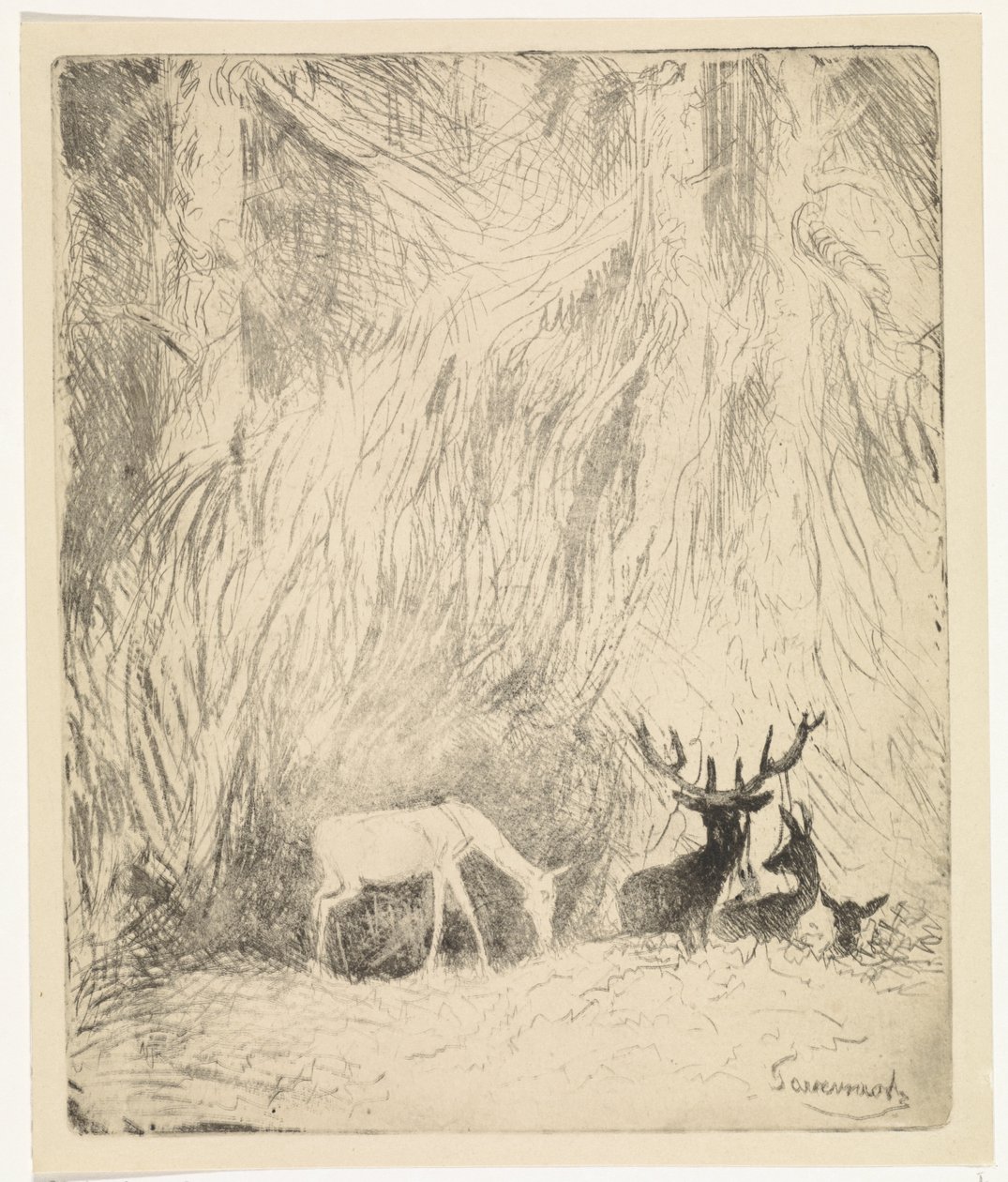 Deer in a Bohemian Forest by Johannes Tavenraat