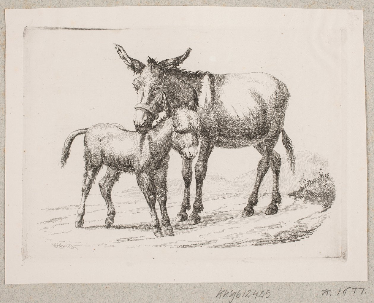 A Donkey with Its Foal by Johannes Wilhelm Zillen